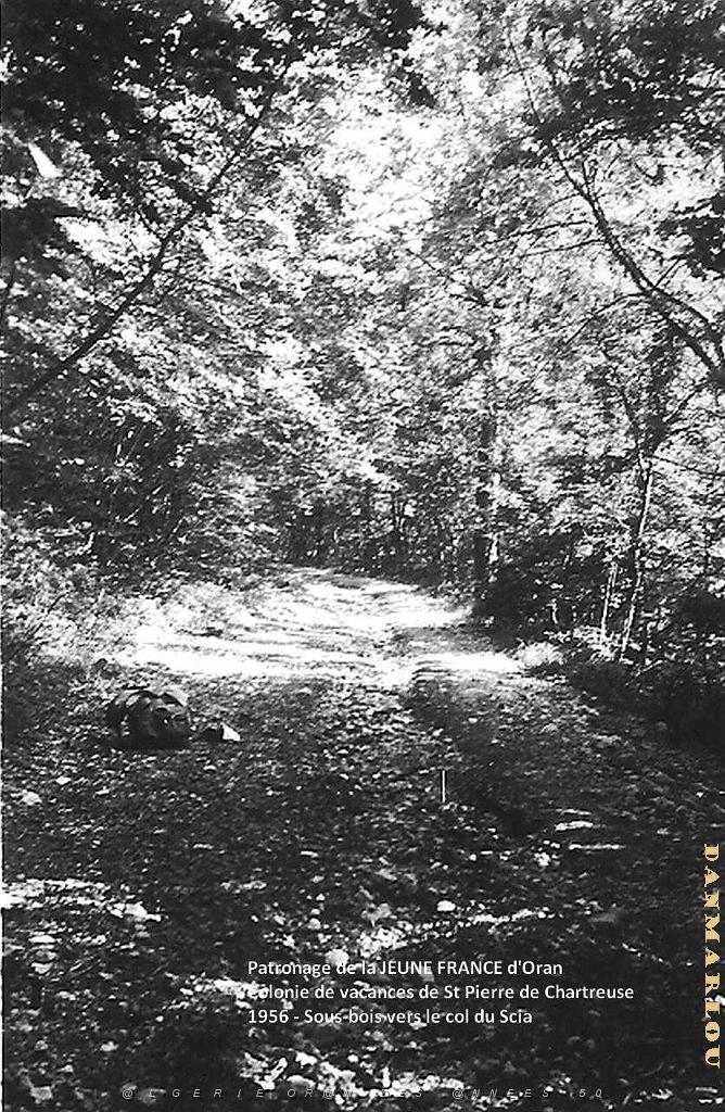 COLO JEUNE FRANCE 1956 sous bois vers le col du Coq.jpg